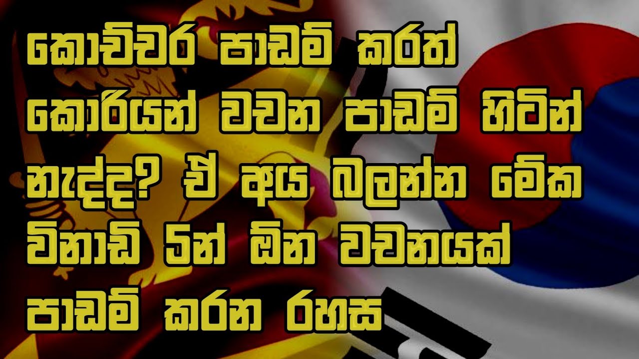 කොච්චර පාඩම් කරත් කොරියන් වචන පාඩම් හිටින් නැද්ද?ඒ අය අනිවාර්යයෙන් බලන්න korean exam 2023 srilanka