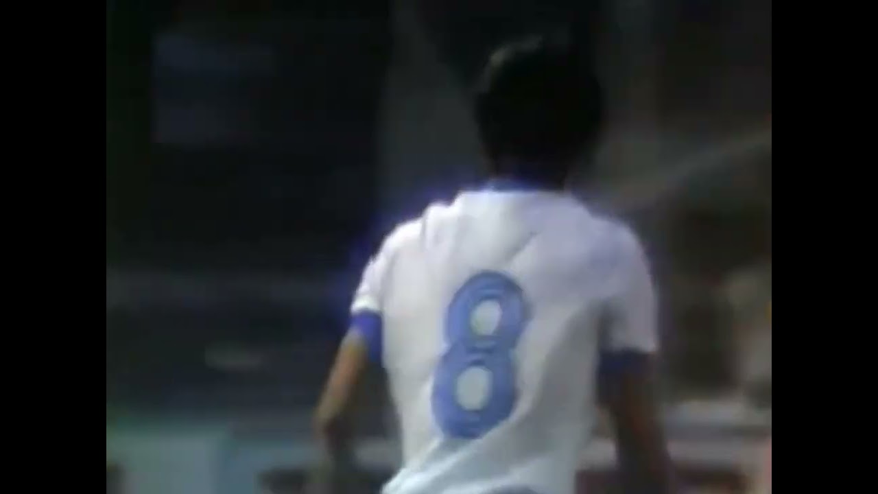 1983 Alain Giresse vs Denmark 1-3 (Friendly, Away)