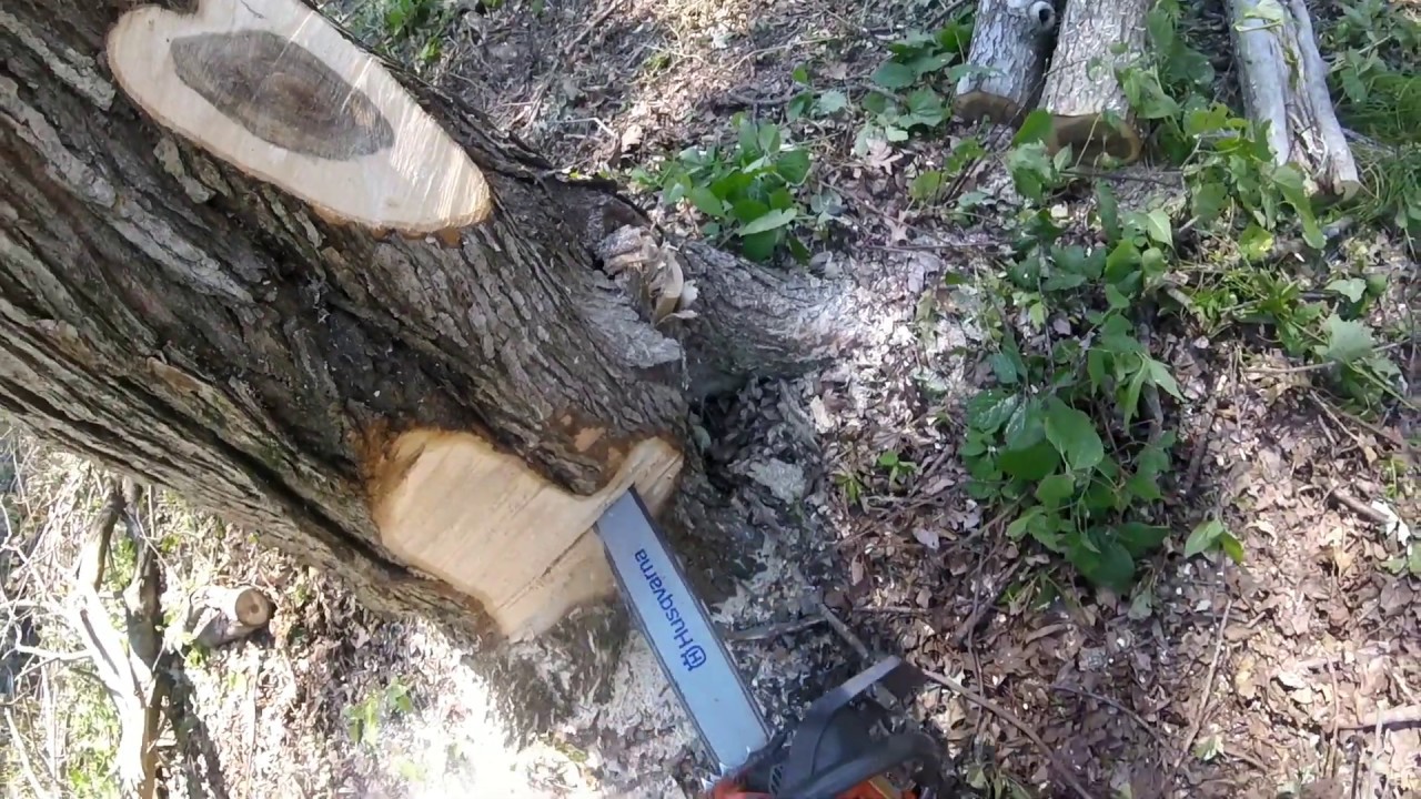HUSQVARNA 575 X TORQ