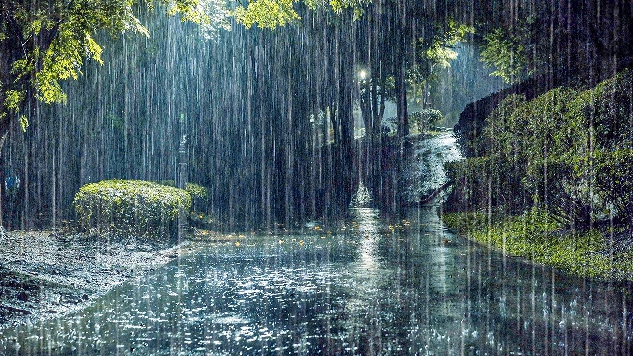 Cozy Sleep Music like a Warm Blanket | Rain Sounds, Fast Sleep, Deep Rest, Insomnia, White Noise
