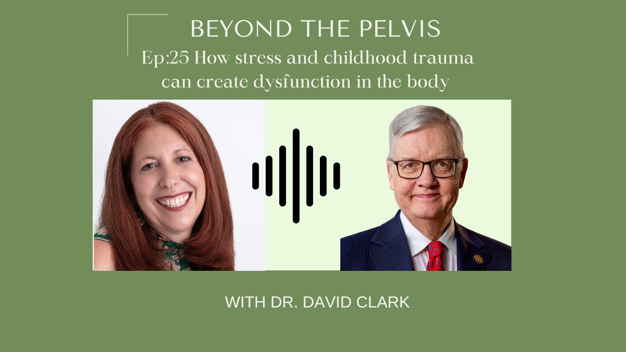 How stress and childhood trauma can create dysfunction in the body with Dr  David Clark
