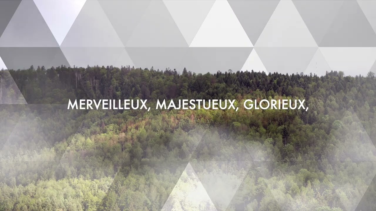 Dans Ta Présence (Here In Your Presence - Bethel Music) - Deni Gahlinger [Cover FR]