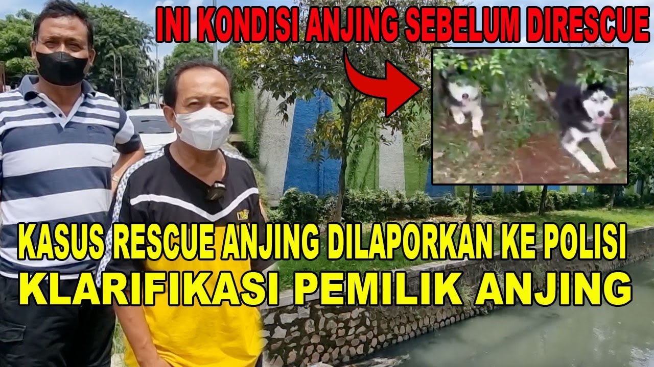 KLARIFIKASI PEMILIK ANJING DI KASUS VIRAL RESCUE ANJING DILAPORIN KE POLISI