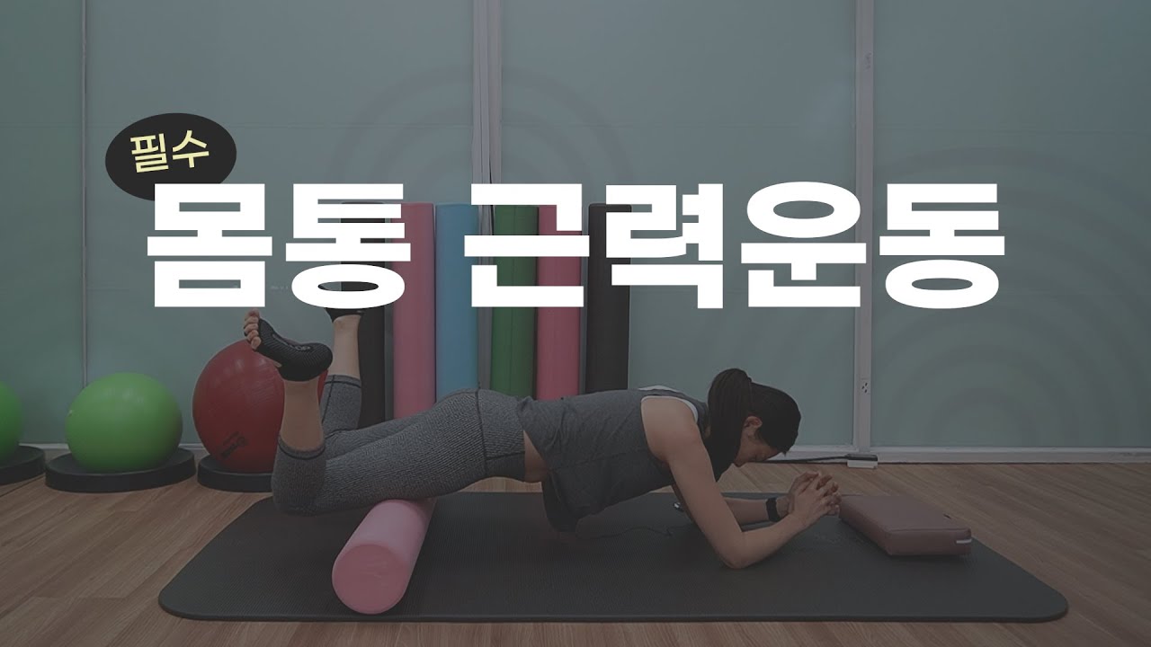 건강한 척추를 위한 필수 몸통 근력 강화 운동