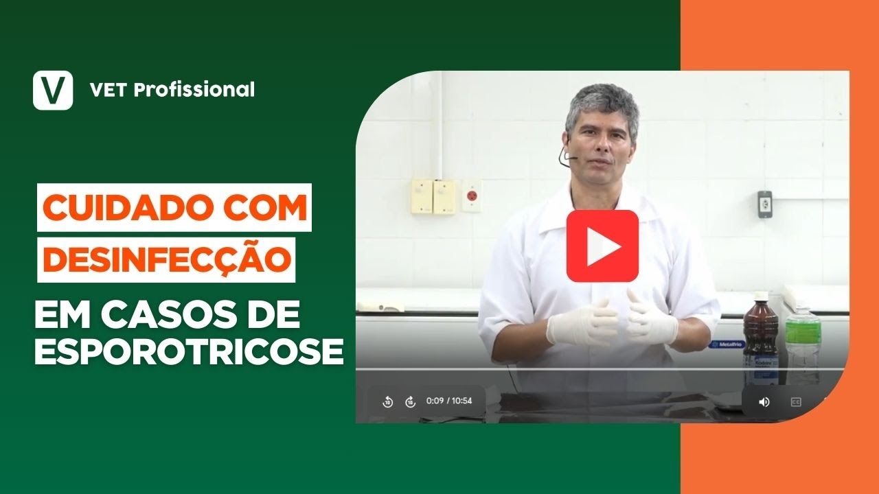 Cuidados com Desinfecção em Casos de Esporotricose | VET Profissional