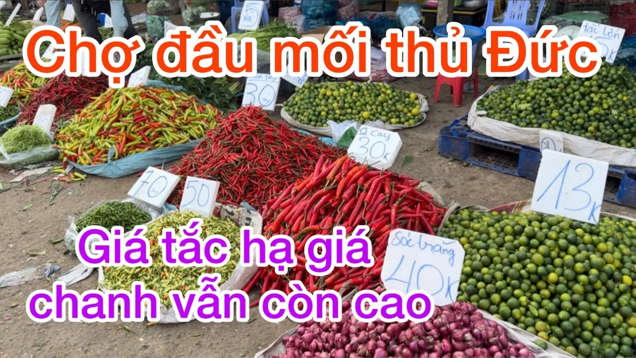 Toàn cảnh khu rau củ chợ đầu mối thủ Đức sáng ngày 1-3-2026 hành lá 5 ngàn 1kg 
