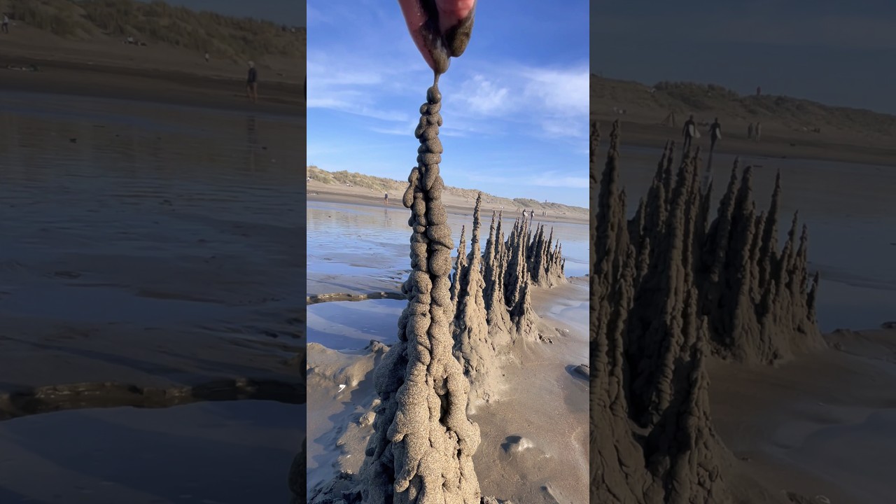 Sand Forest