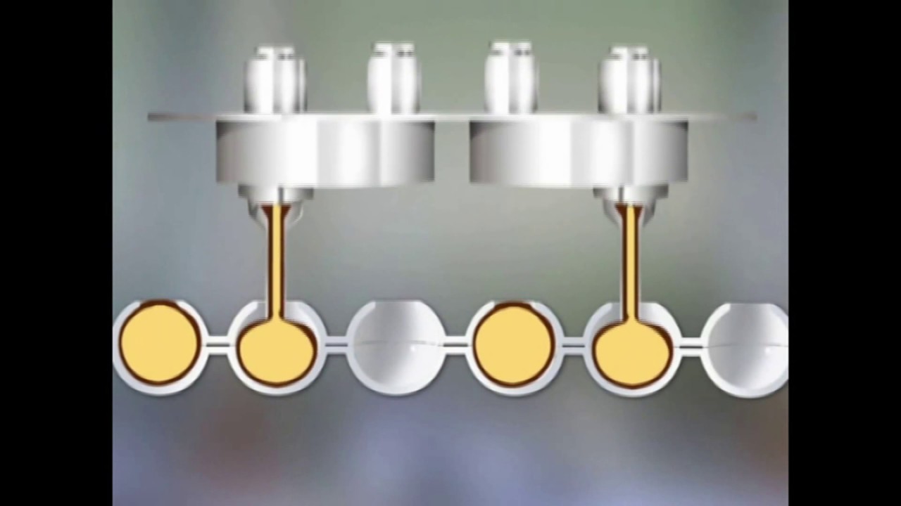 Loynds Automatic One-Shot Chocolate Moulding System.
