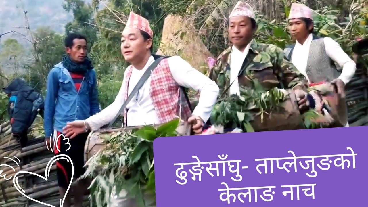 kelang-Limbu Chyabrung Dance Taplejung-Dhuangesanghu. किरात लिम्बु जातिको च्याब्रुङ नाच।