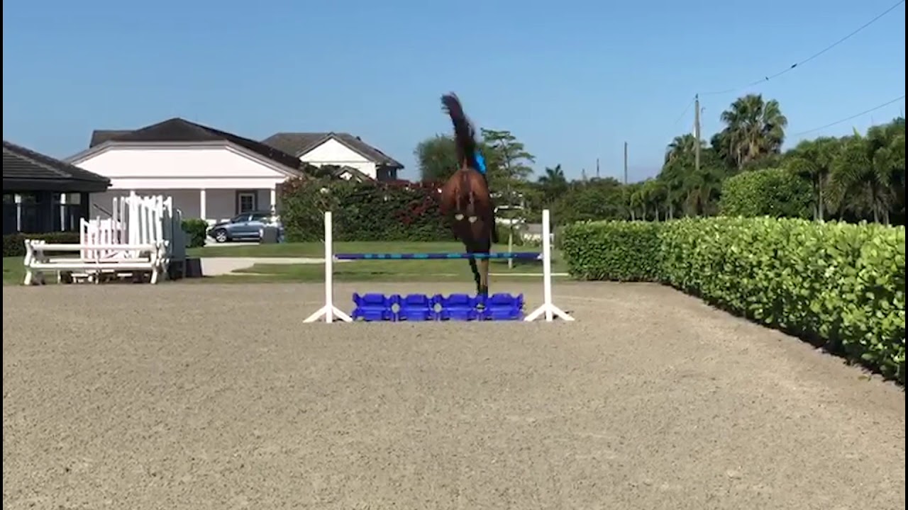 At Home with Glenbeigh Farm | Serpentine Exercises | Show Jumping Training Tips