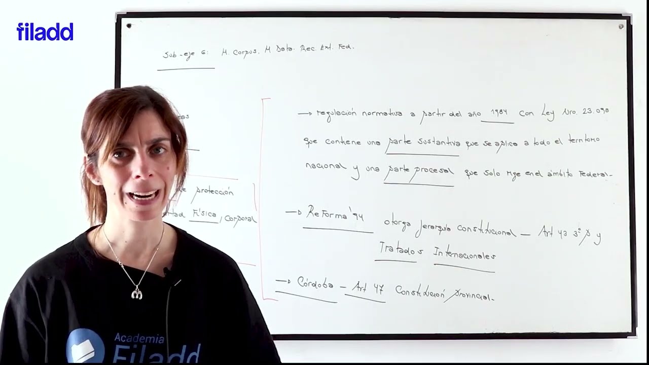Hábeas Corpus | EFIP 2 Abogacía UES21 | Filadd