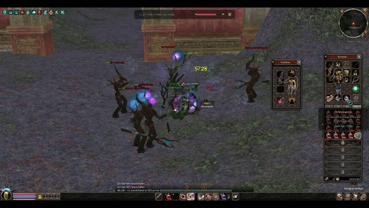 Metin2 Praios DE Vijay  Leveln auf 95er Map