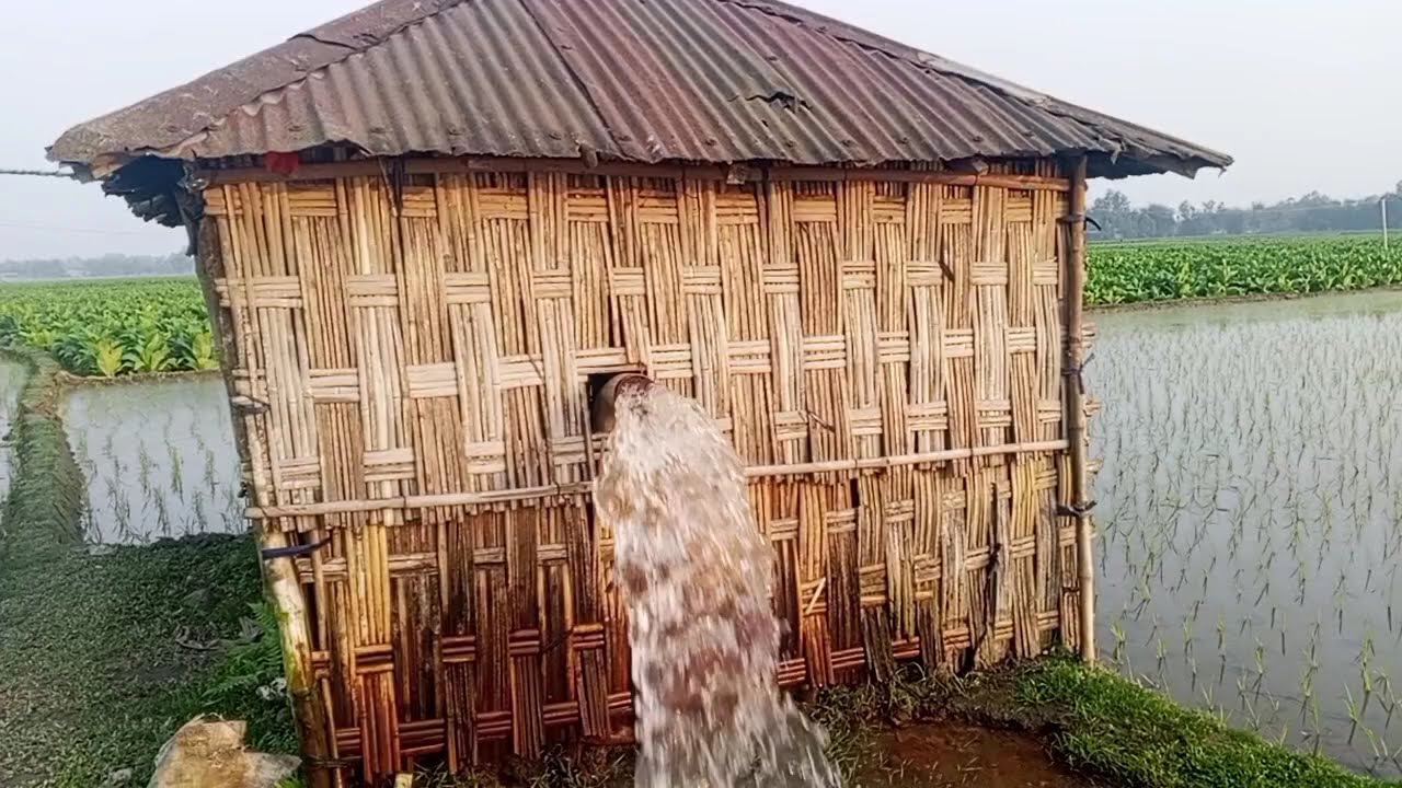 মন মোর রসনা এই দেহাব মুলো নাই Mon Mor Rosona Ai Dehar Mullo Nai Zubeen Garng New Tendign Soog 