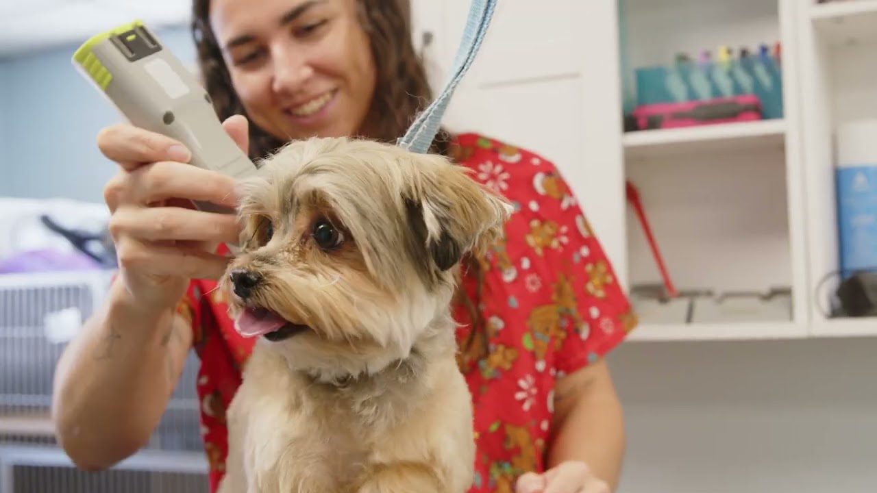 Joyful Petcare RD2