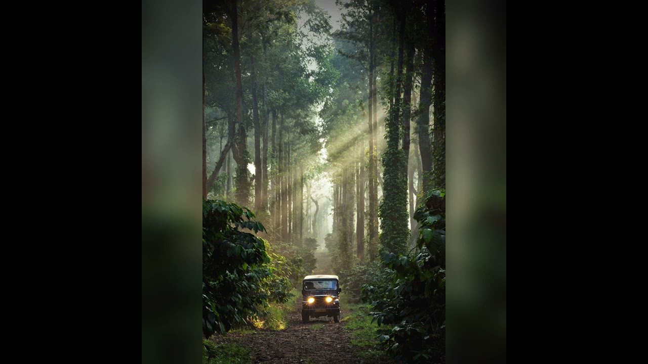 | kodava song | Naal kinnangada koode |