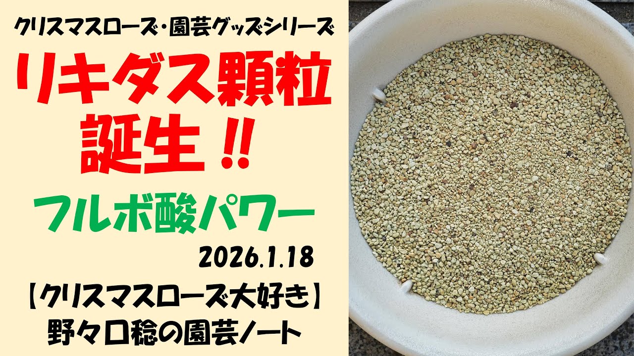 2026.1.18 リキダス顆粒・誕生‼