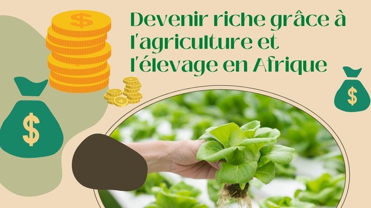 Reportage Cameroun, L'agriculture au Cameroun et en Afrique