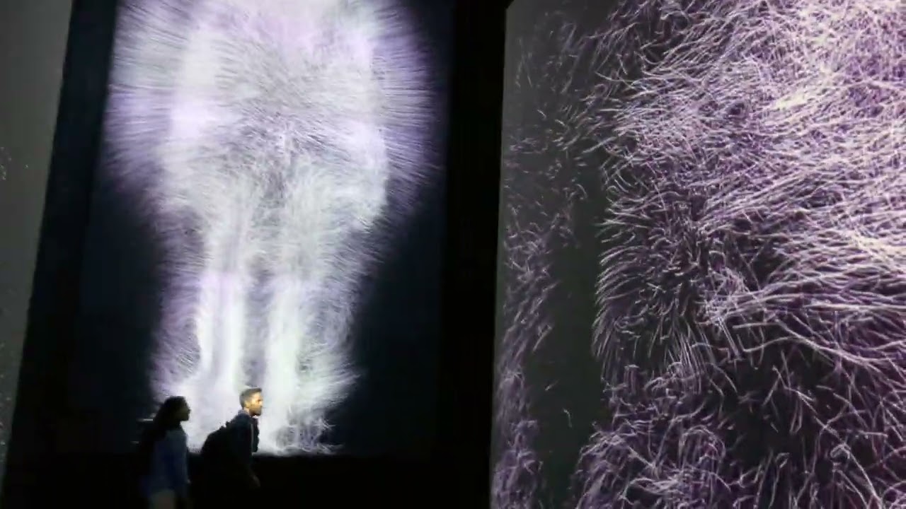 Singapore ArtScience Museam 'Future World' Immersive Exhibition