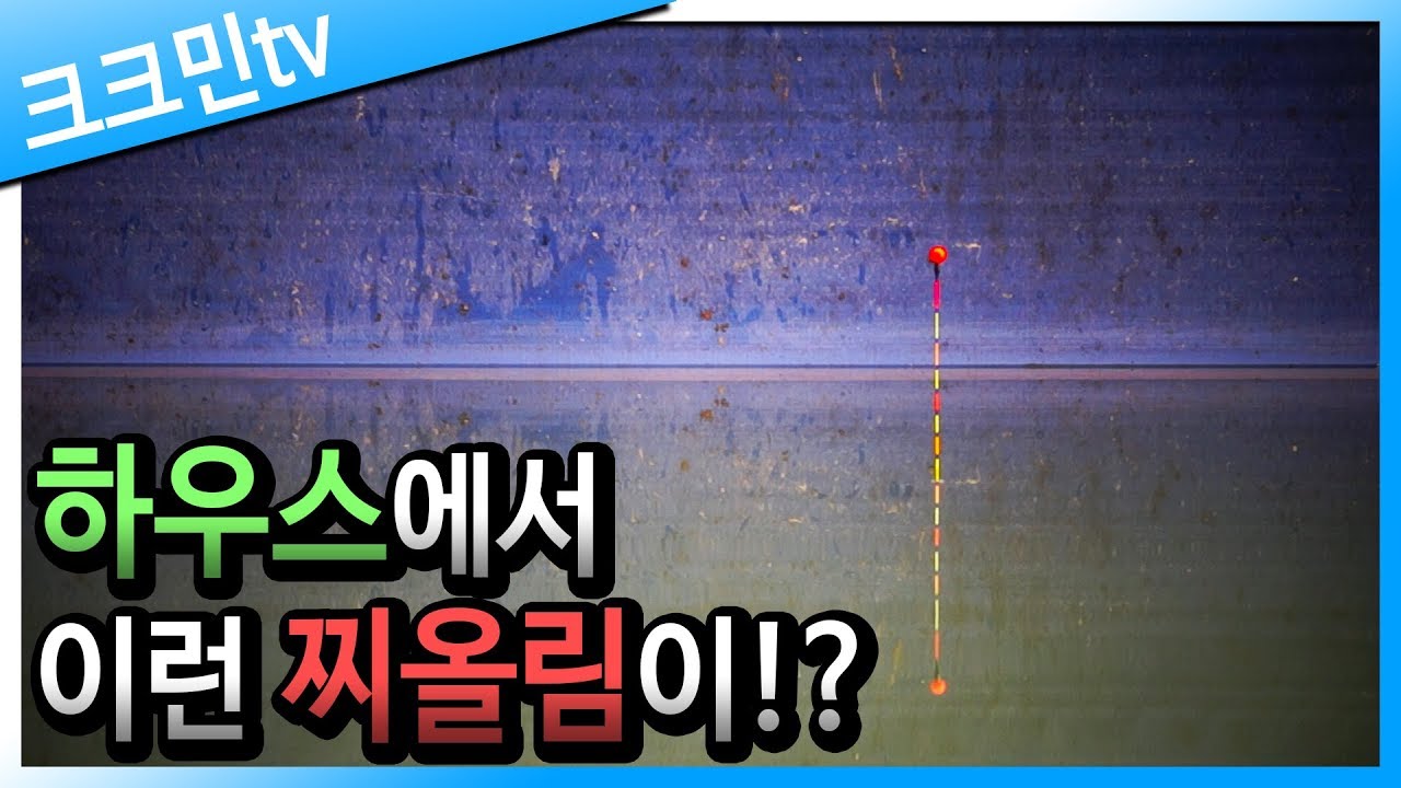 스위벨채비 붕어낚시 찌올림 영상