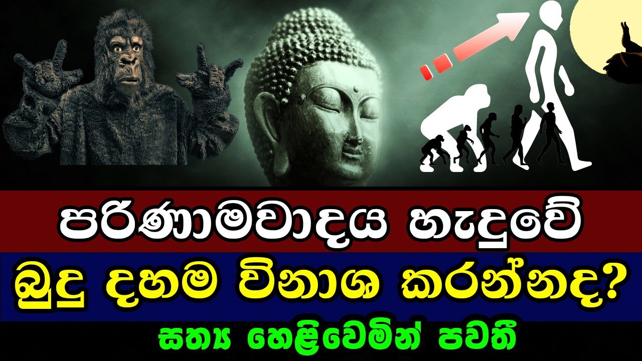 පරිණාමවාදය හැදුවේ බුදු දහම විනාශ කරන්නද? | Unveiling The Truth: The Lie of Human Evolution Exposed!