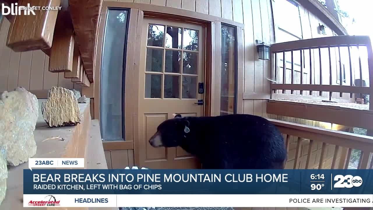Bear breaks into Pine Mountain Club home, raids kitchen for snacks in hour-long visit