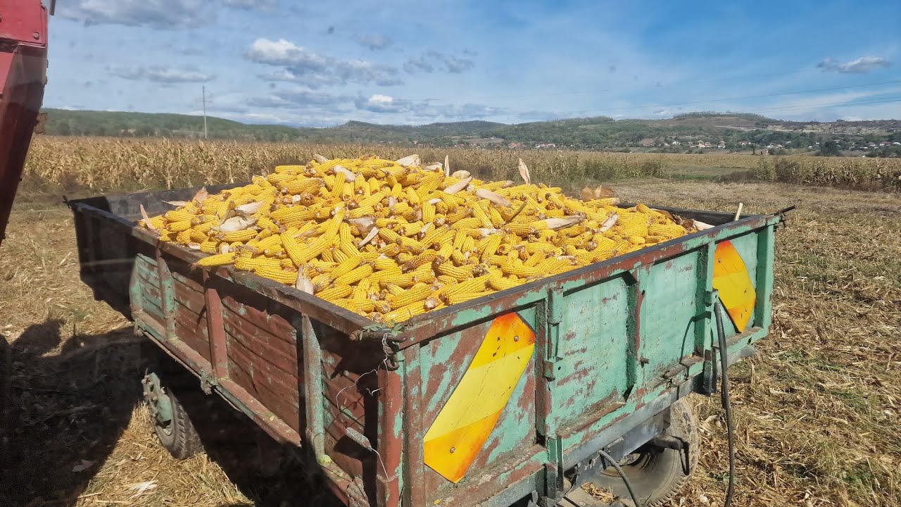 Tractor-vlog-John Deere 5100M-Pickup-Zmaj-Zemun-223-Pickup corn from the year 2025 ep10