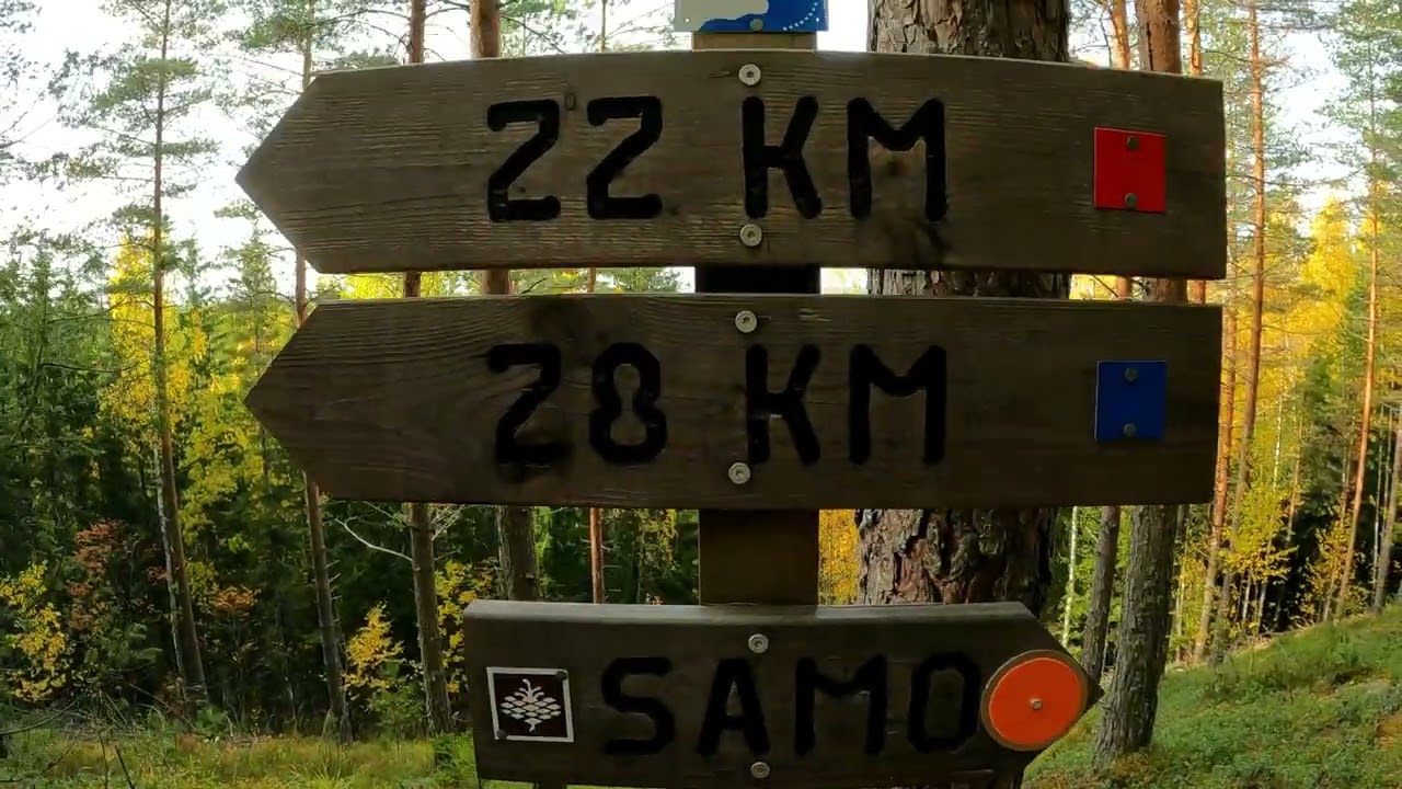 Komion luonnonpuisto syksyllä 2022