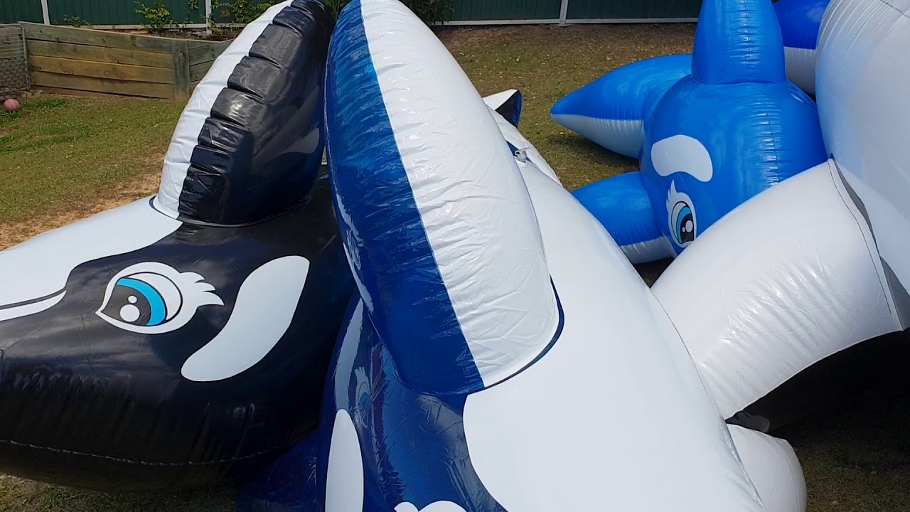 Deflating Inflatable Whales Part 1