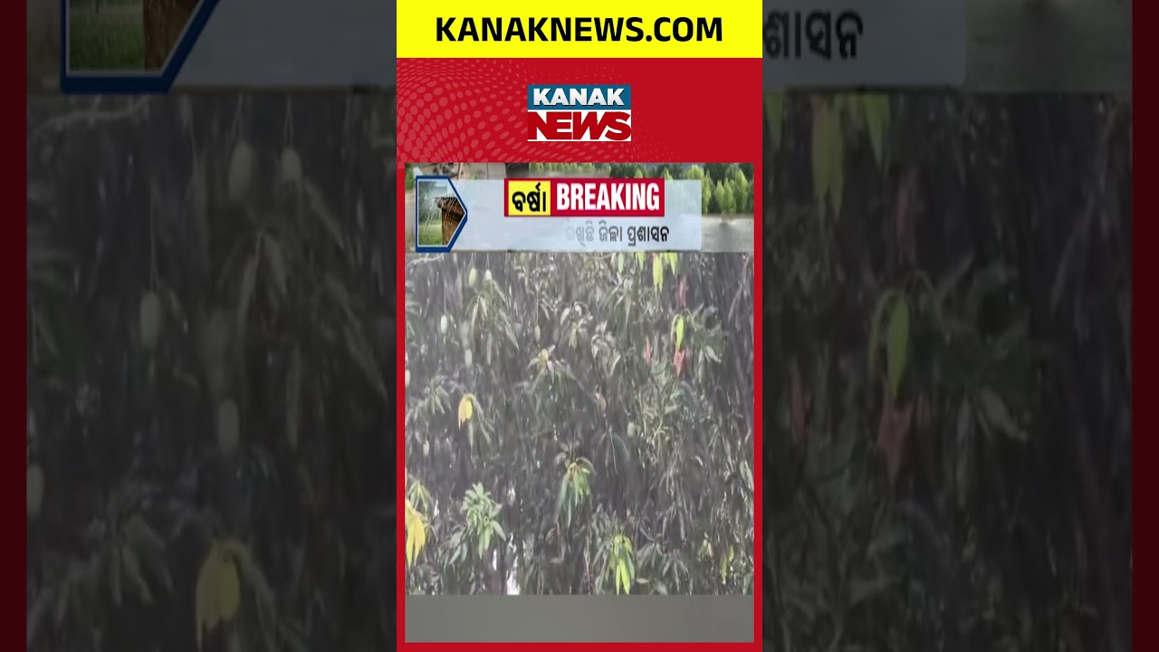 ସ୍କୁଲ୍ ବନ୍ଦ ଘୋଷଣା, Kalahandi Heavy Rain | Schools Closed as Weather Warning Intensifies