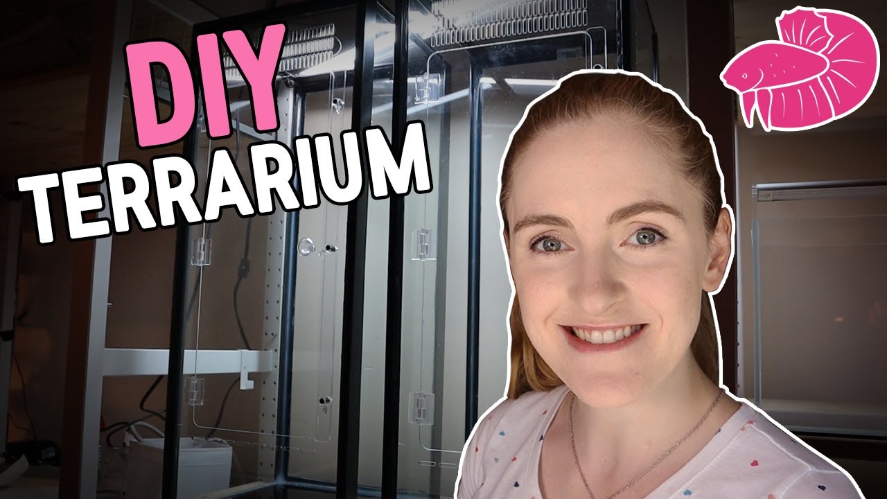 DIY Reptile Enclosure with Screen Top - How to Save Hundreds!
