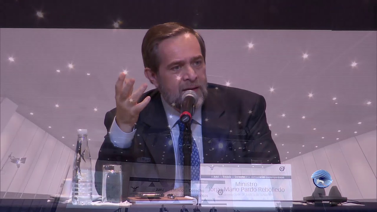 Independencia judicial y consolidaci&oacute;n del Estado de derecho