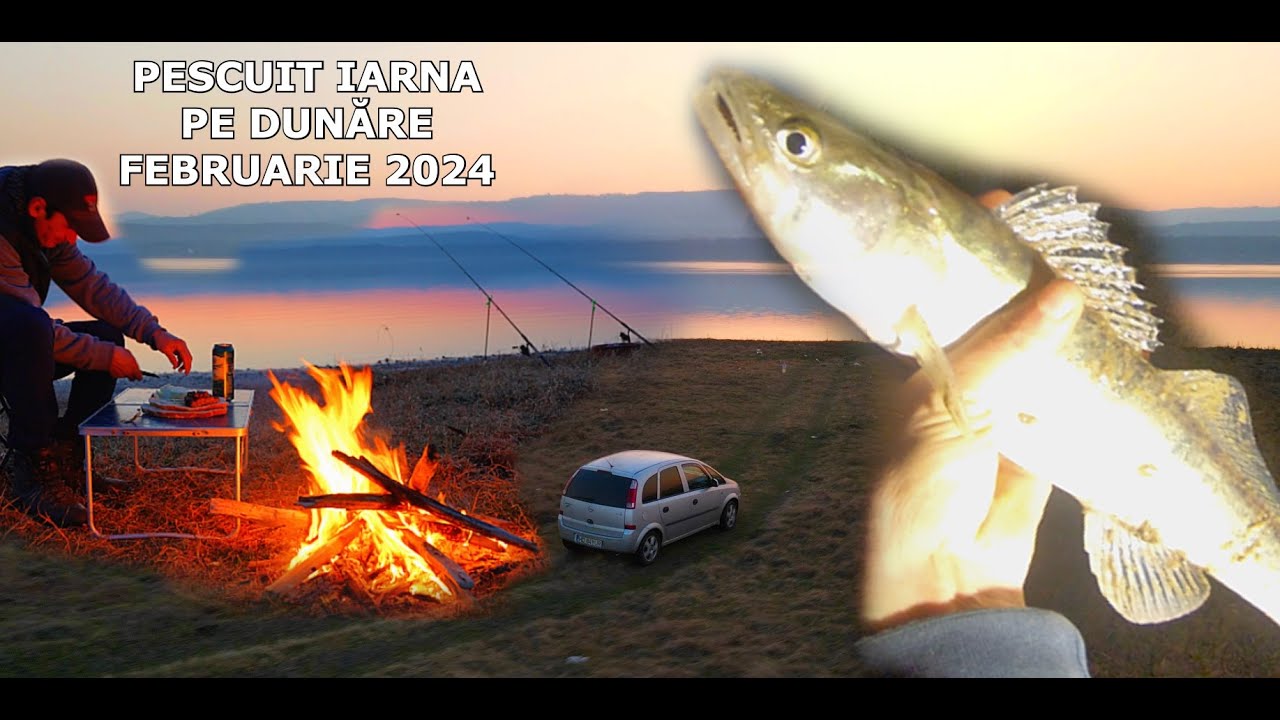 Pescuit 2 ZILE PE DUNARE IARNA Februarie 2024 si SURPRIZĂ MARE La ȘALĂU, Morunas, Batca