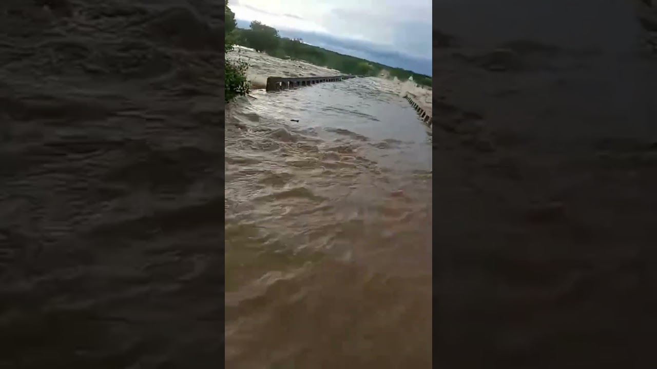 Cheia do cocorob&oacute;
