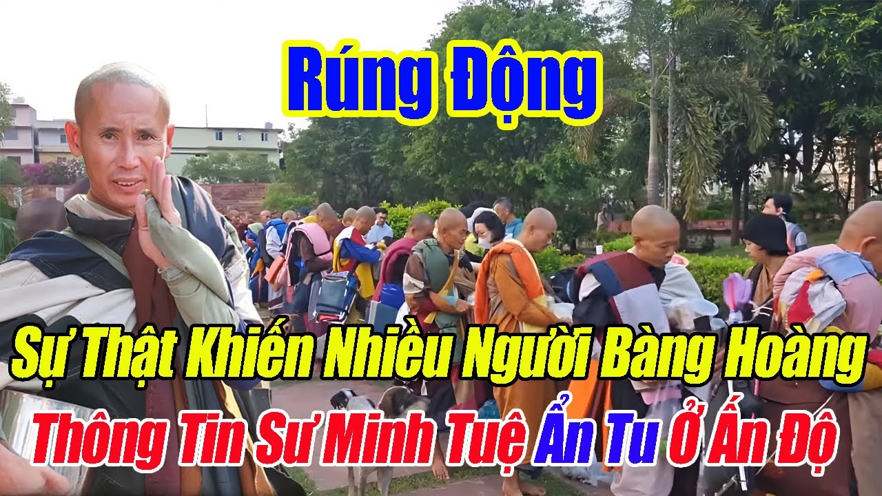 Chấn Động! Hé Lộ Sự Thật Về Thông Tin Ẩn Tu Của Sư Minh Tuệ Tại Ấn Độ