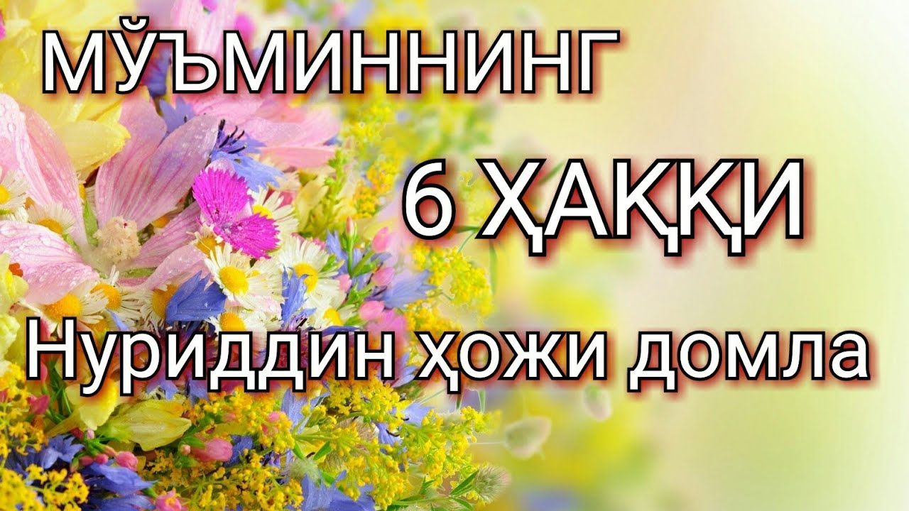 МЎЪМИННИНГ 6 ҲАҚҚИ
Нуриддин ҳожи домла
Ижтимоий масалалар