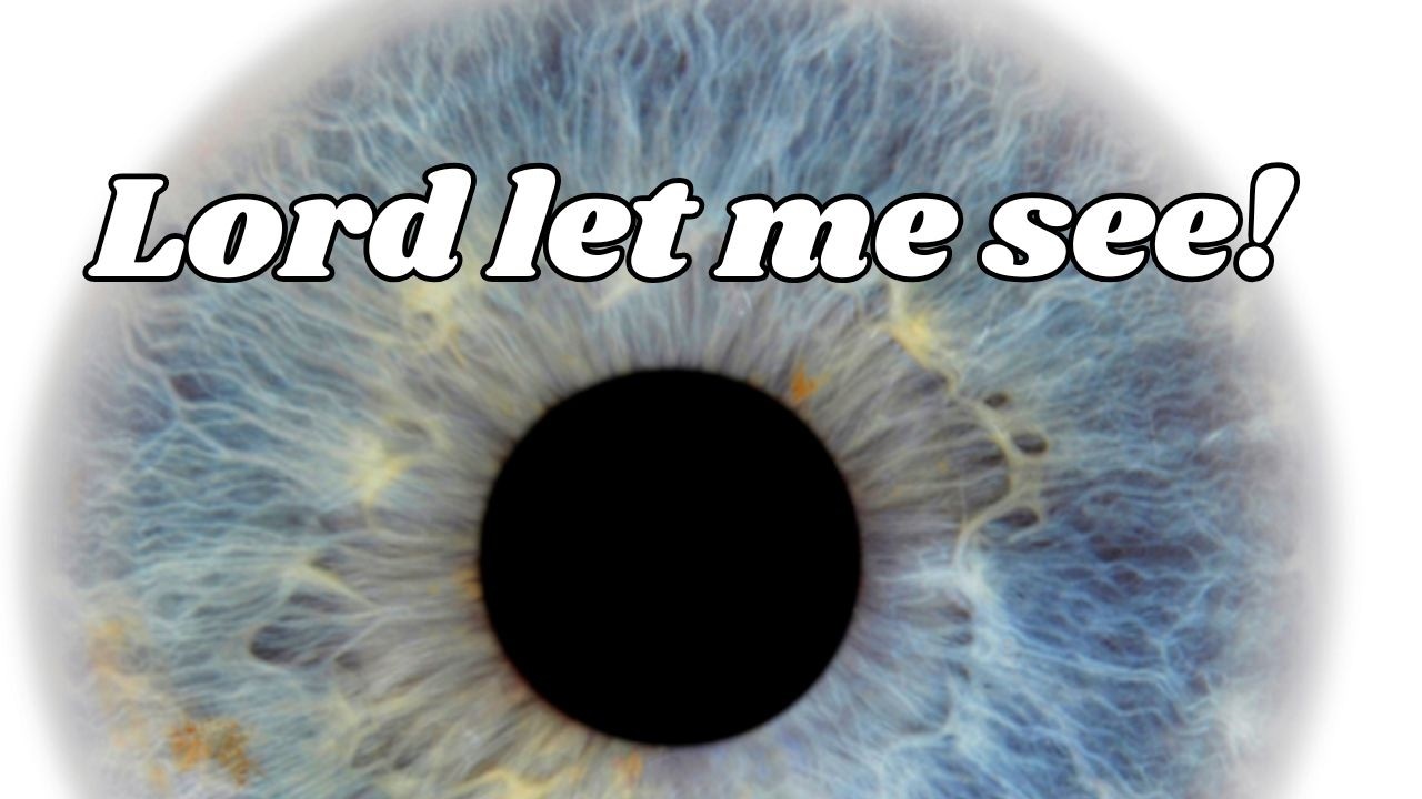 Lord, let me see! 👀😎 #love #bible #Jesus #see