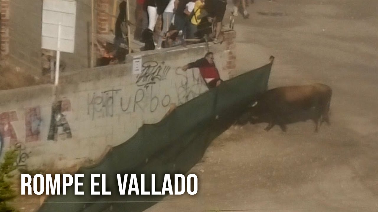 Cuellar 2023 El Toro Rompe el Vallado