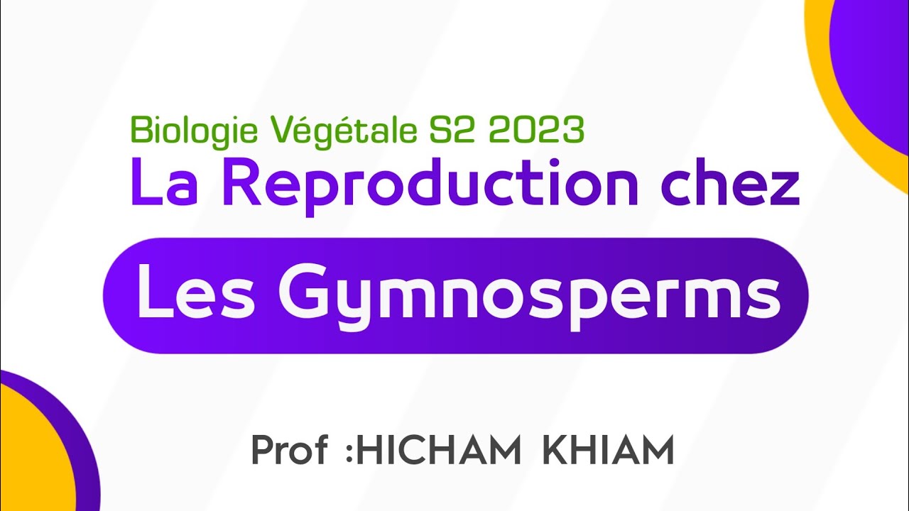 La Reproduction chez les cormophytes | les Gymnosperms | #SVT #S2