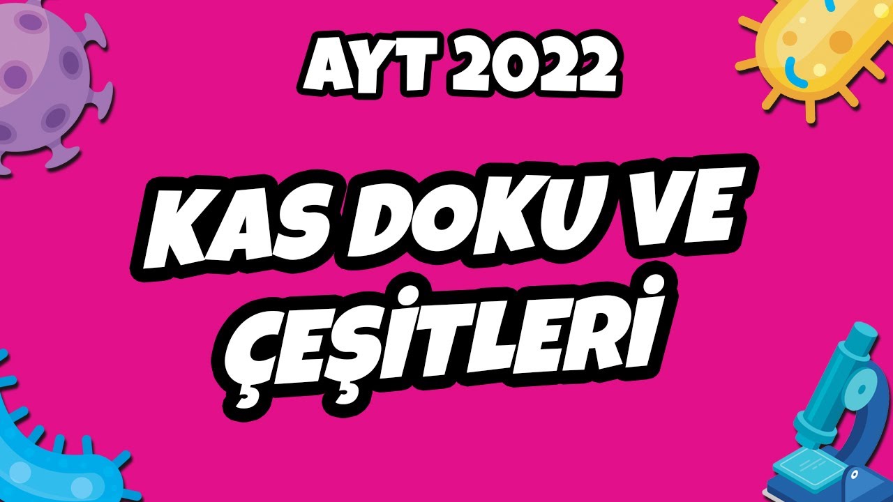 Kas Doku ve Çeşitleri | AYT Biyoloji 2022 #hedefekoş