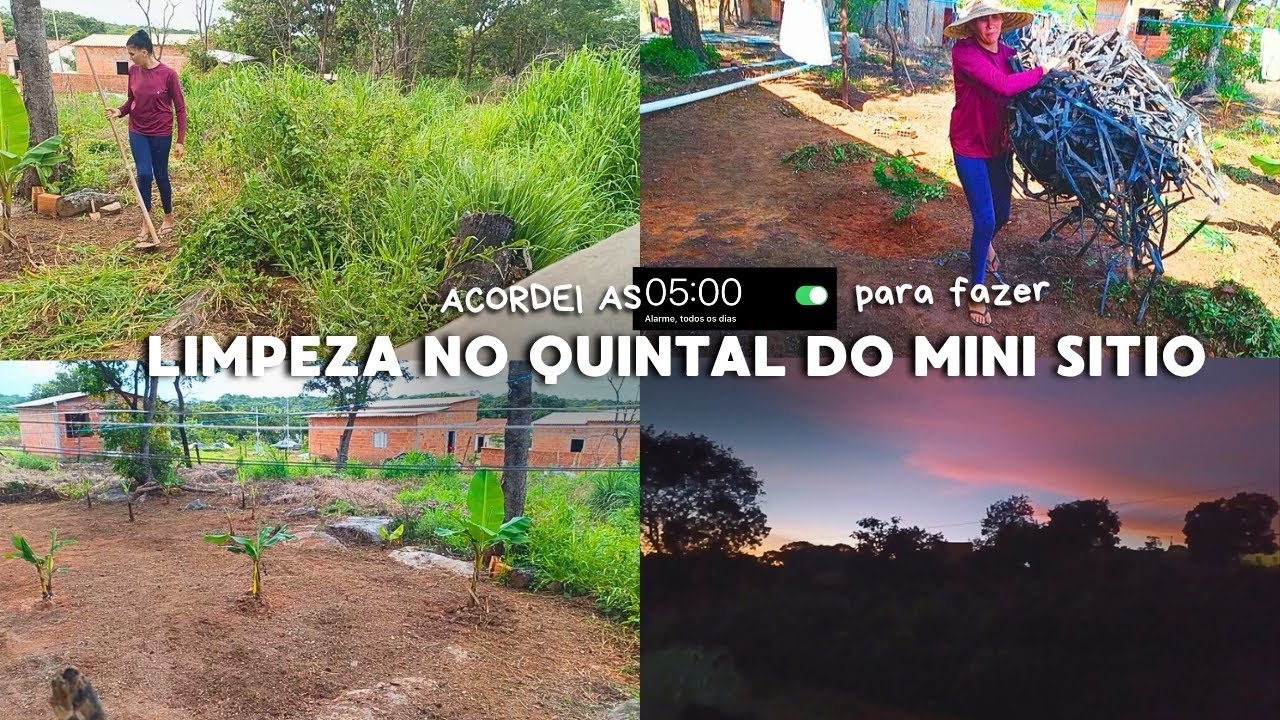 Acordei às 5 da manhã para fazer limpeza no quintal do mini sitio/ o mato estava tomando conta 