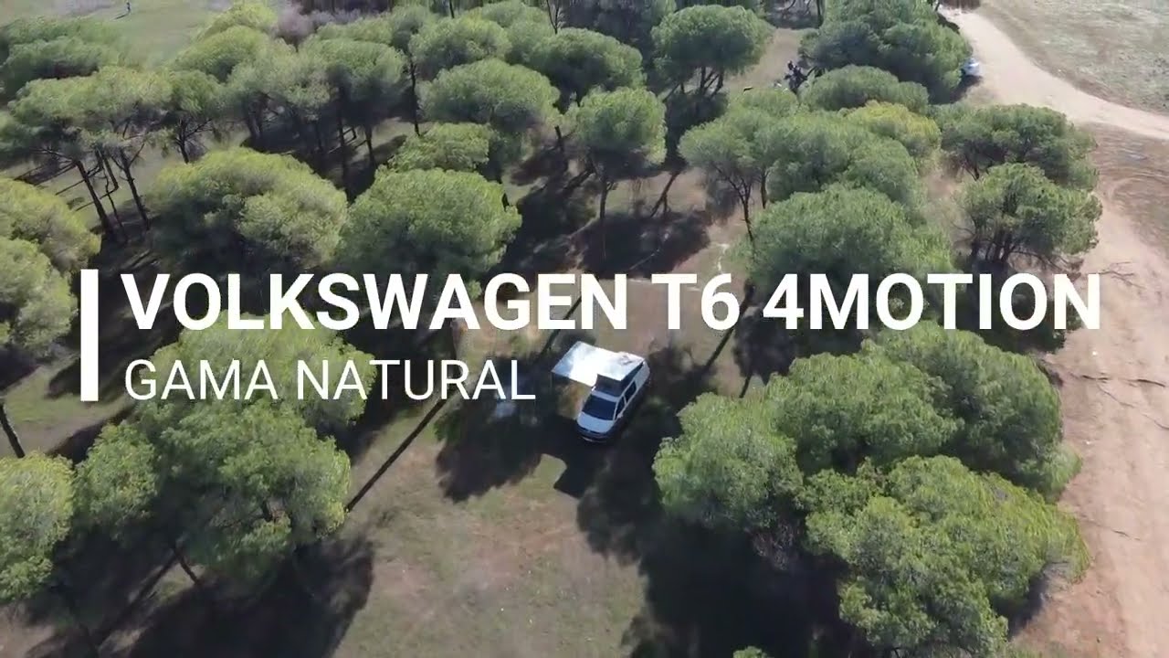 FreeKampers - VW T6 Larga 4Motion - Gama Natural