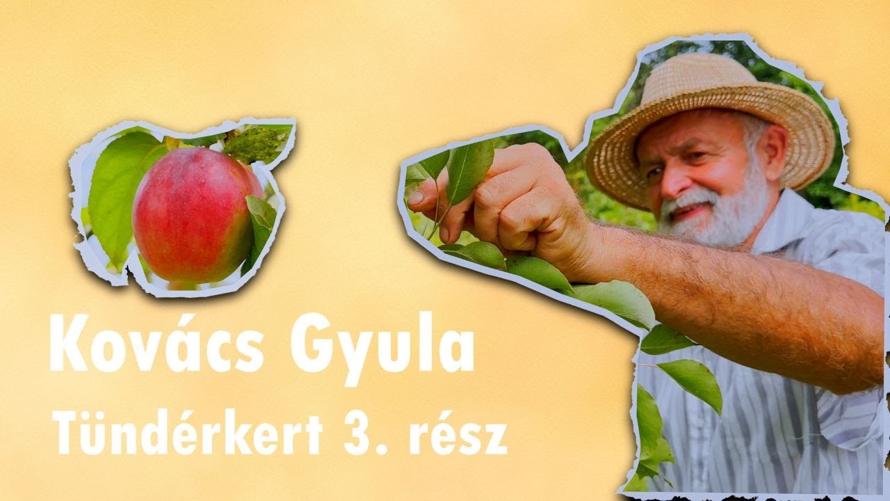 Kovács Gyula, a Tündérkertek gazdája 3. rész