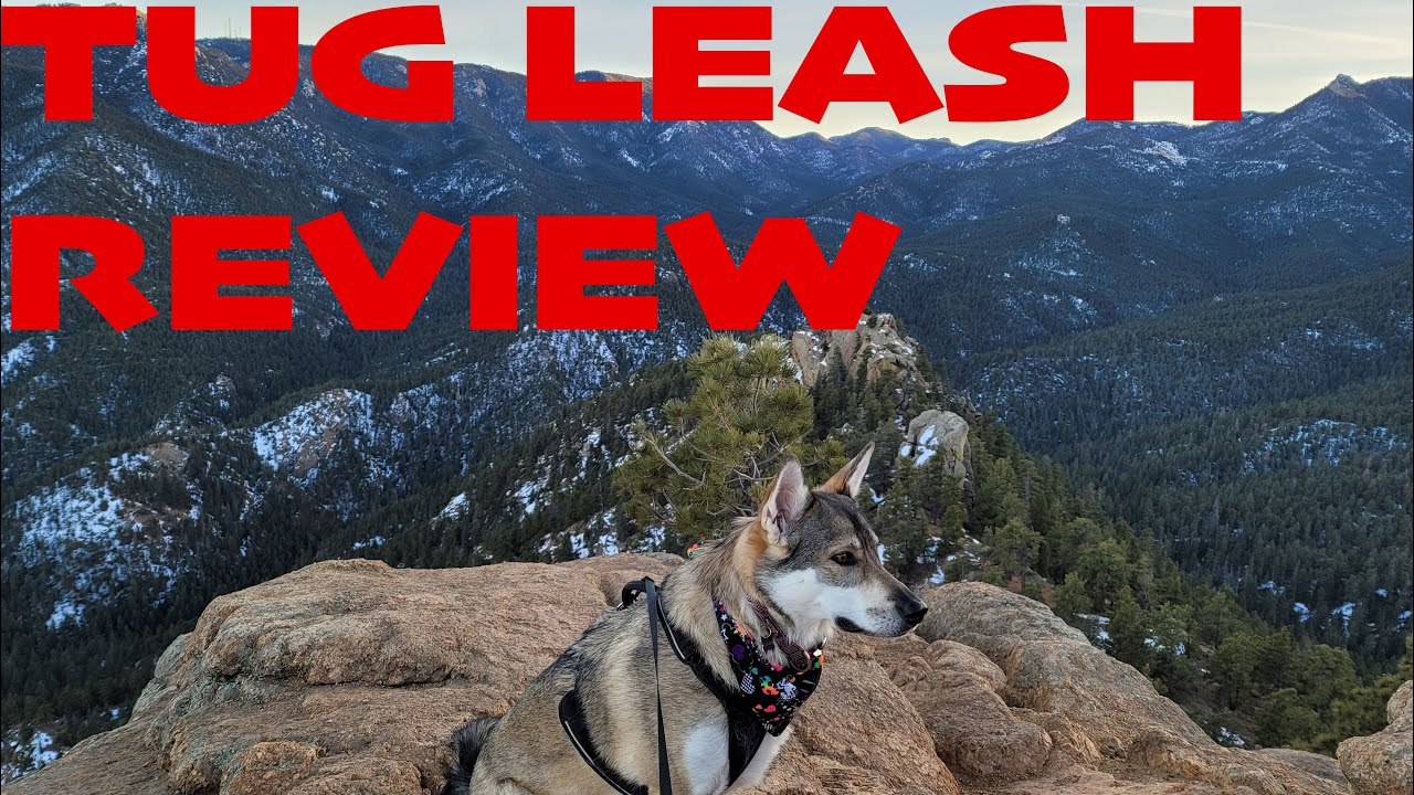 TUG Retractable Leash Review
