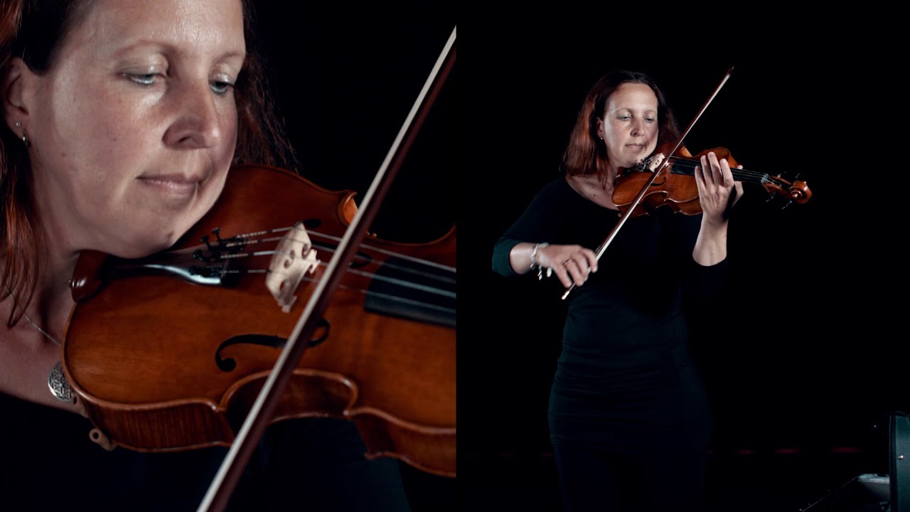 Die Bratsche (Viola)