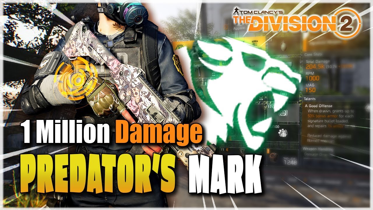The Division 2 | DESTROY YOUR ENEMIES ARMOR WITH THIS BUILD | Insane DPS Solo Build