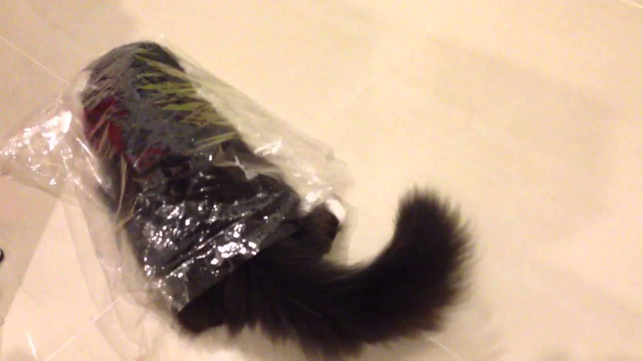 Chujai and her plastic bag
