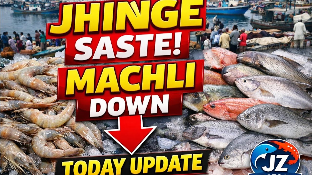 Karachi Fish Harbour Breaking News! 🦐 Jhinge Machli Aaj Bohat Sasti | Daily Market Update