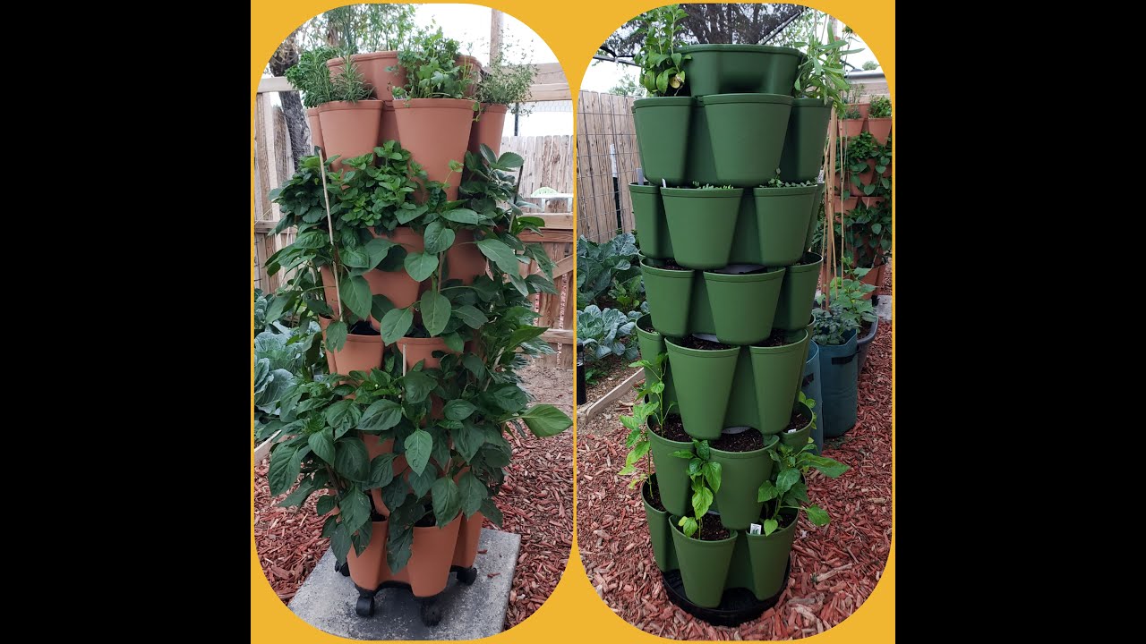 GreenStalk comparison: Original vs Leaf