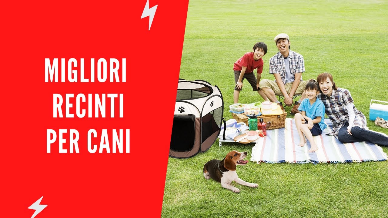 ✅ Migliori Recinti per Cani - (Top 5)