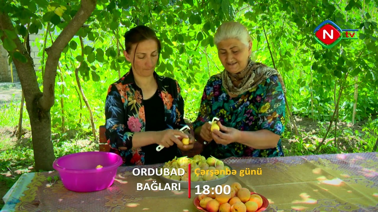 Ordubad bağları - Anons
